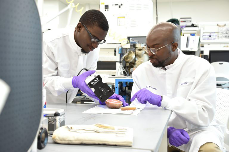 Faculty and student researcher working in a lab.