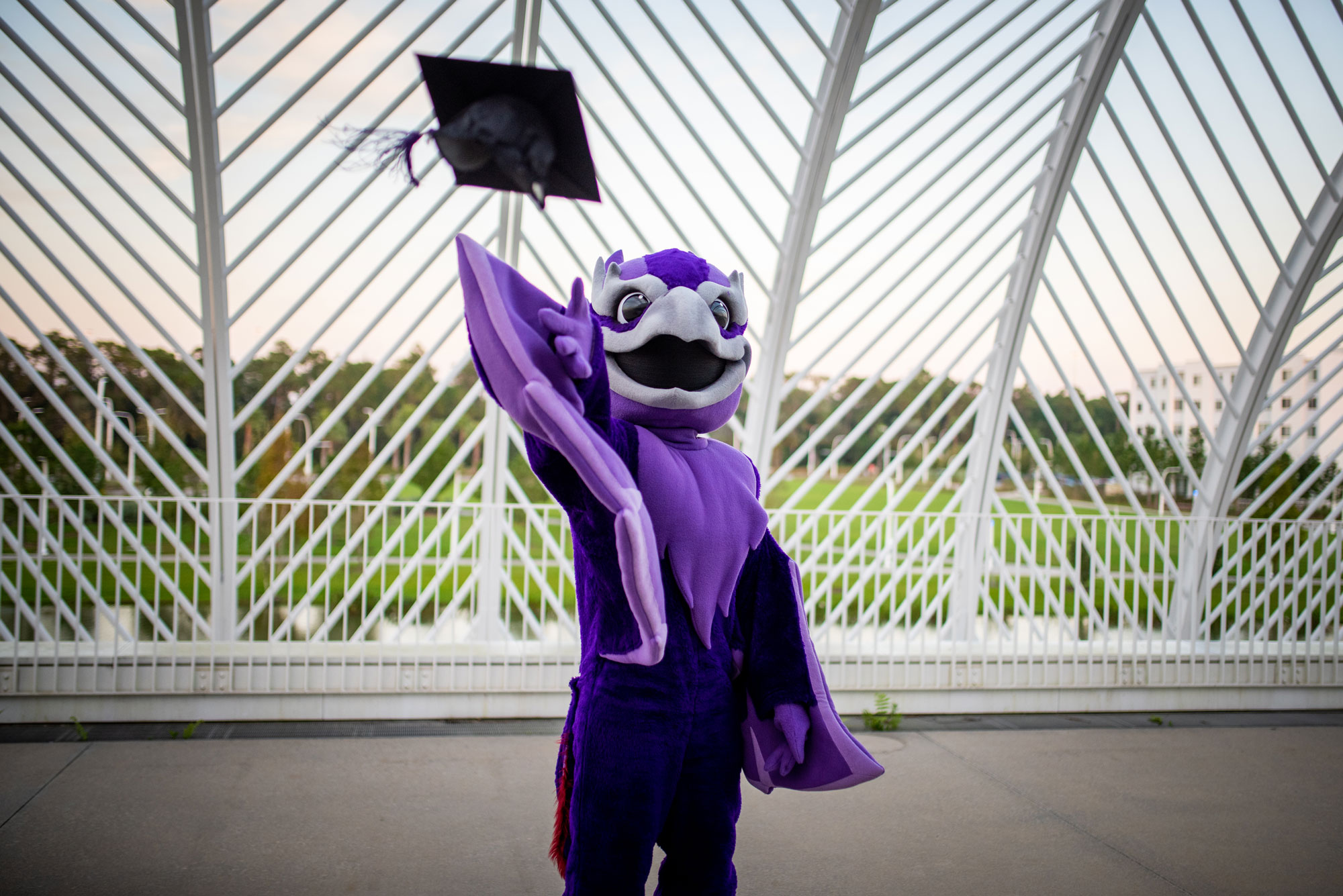 Phoenix mascot throwing cap.