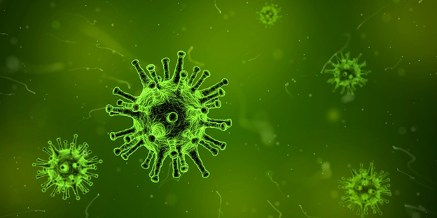 Image of virus particle