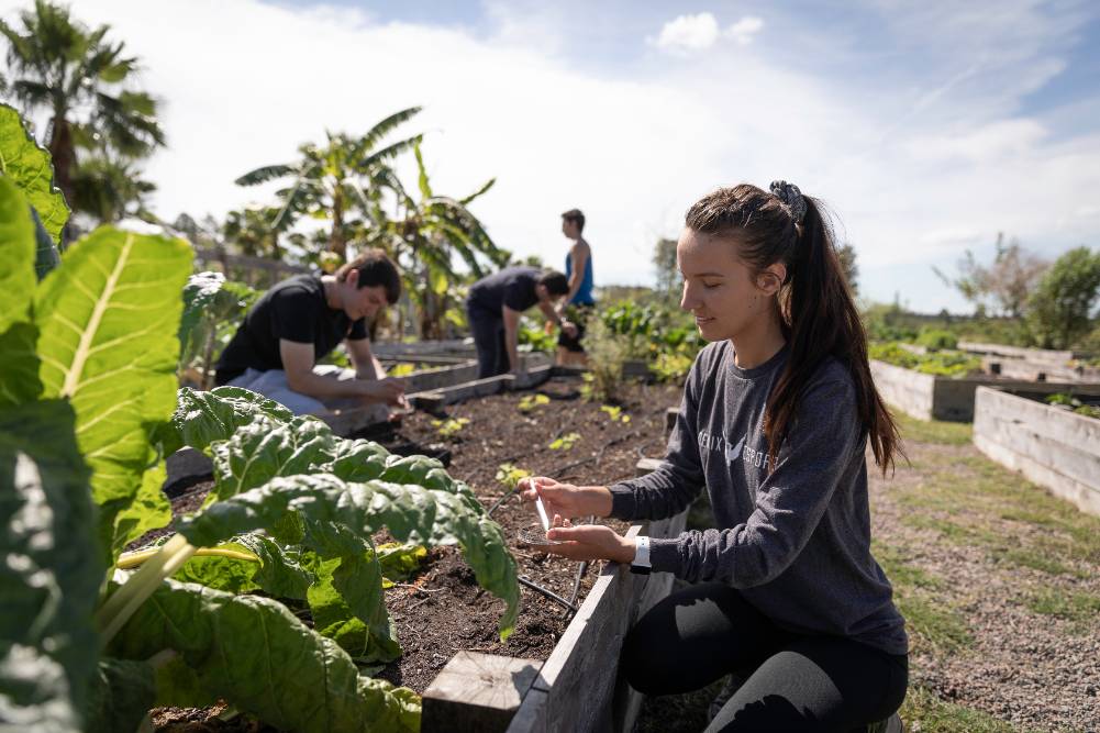 Florida Poly student examines soil samples in the on-campus garden.