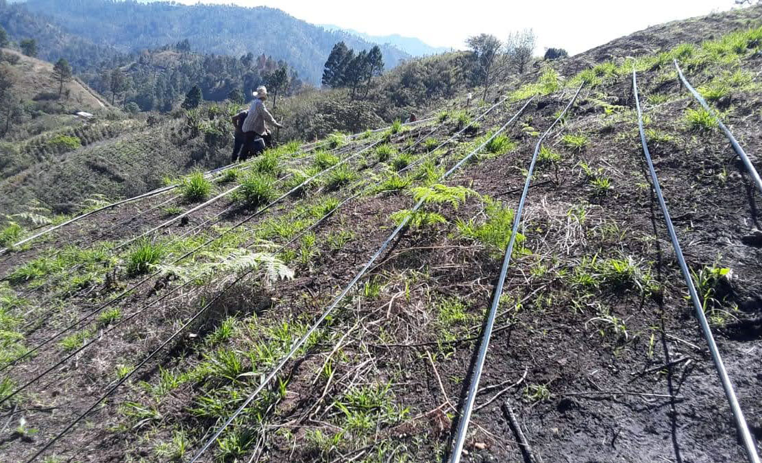 Irrigation system in Honduras