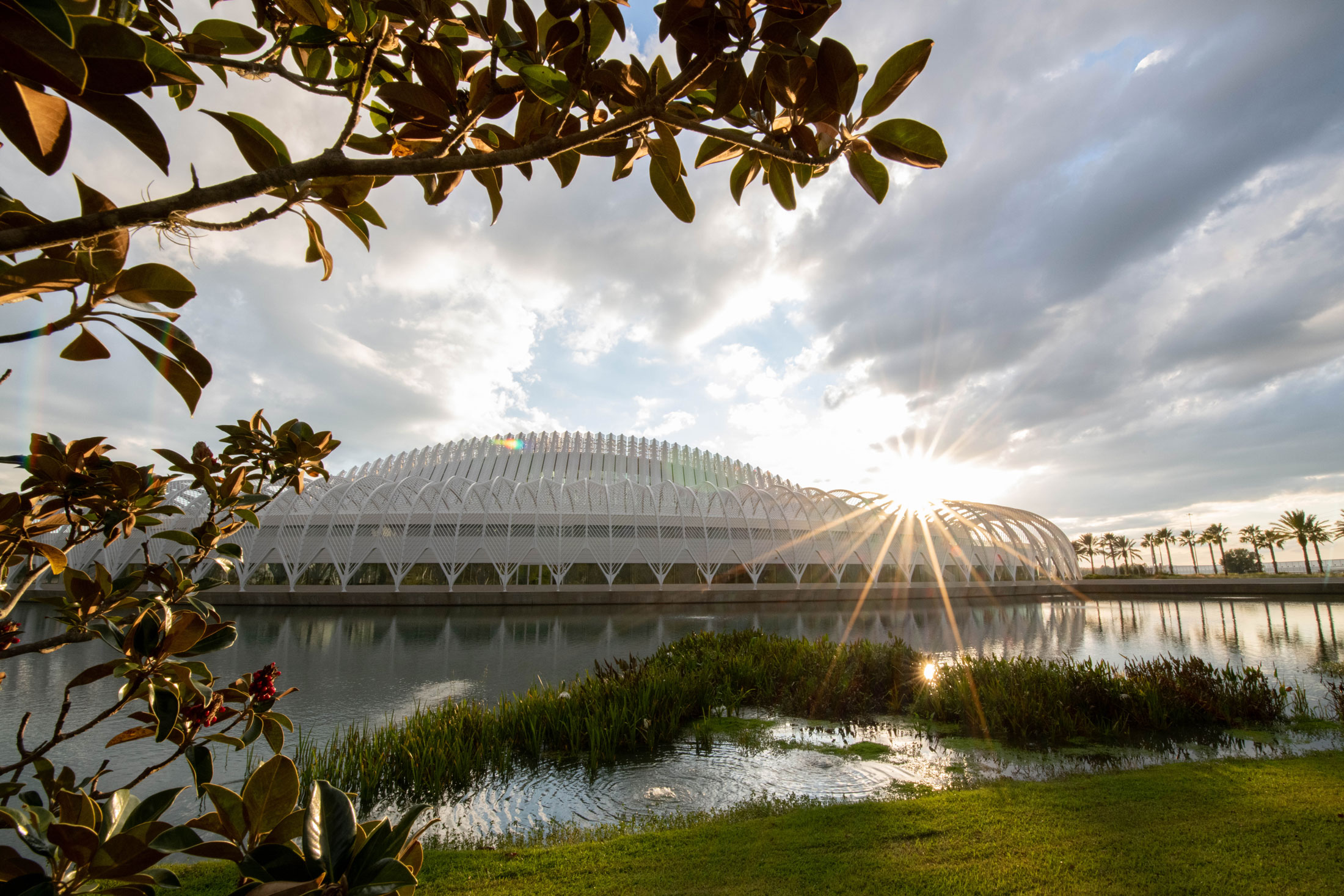 Florida Poly to grow curriculum with two new bachelor's degrees