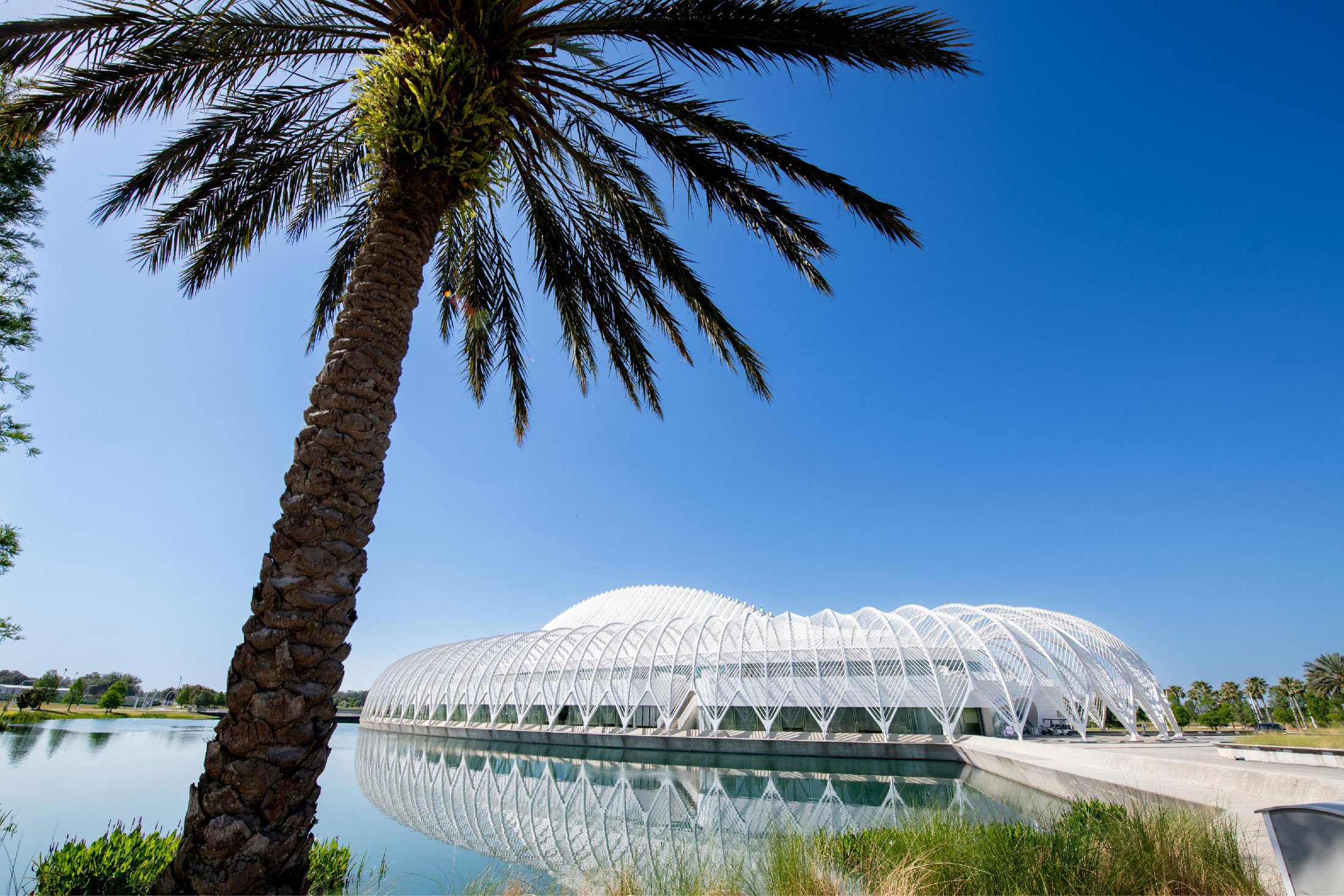 Florida Poly's enrollment hits record high, momentum soars