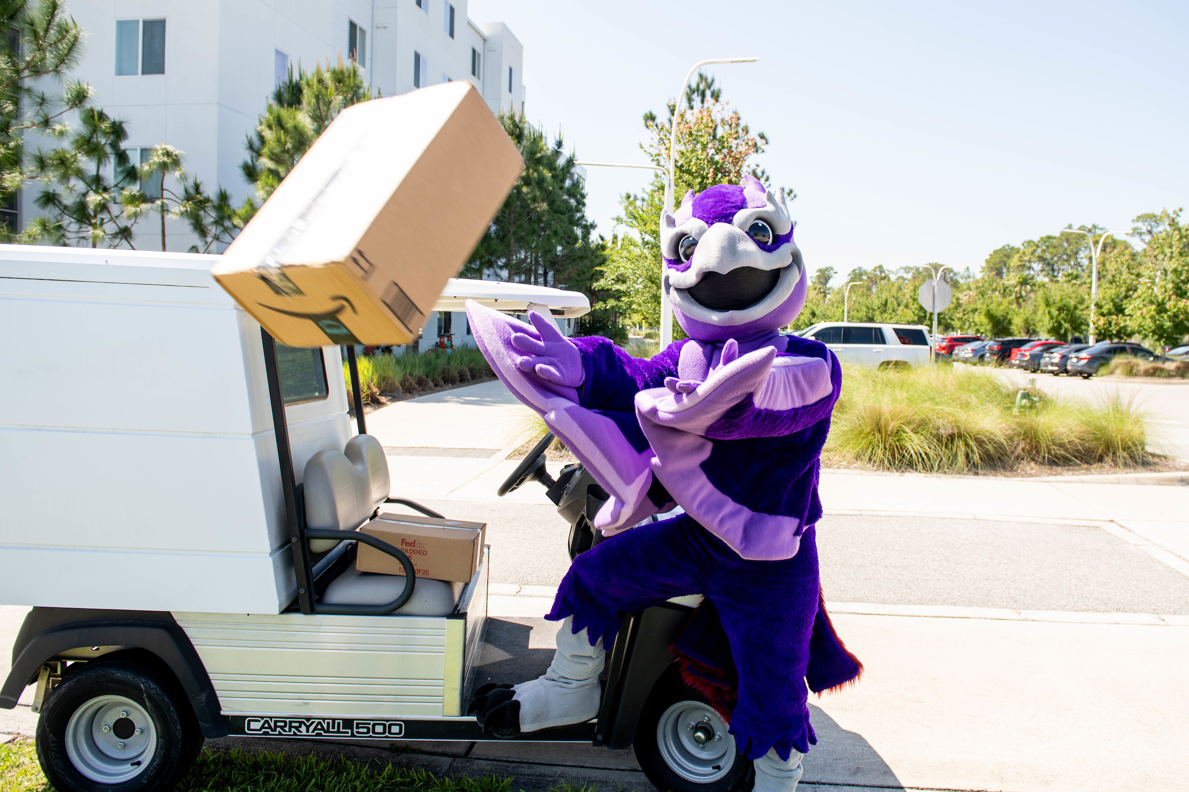 Phoenix Mascot with Package